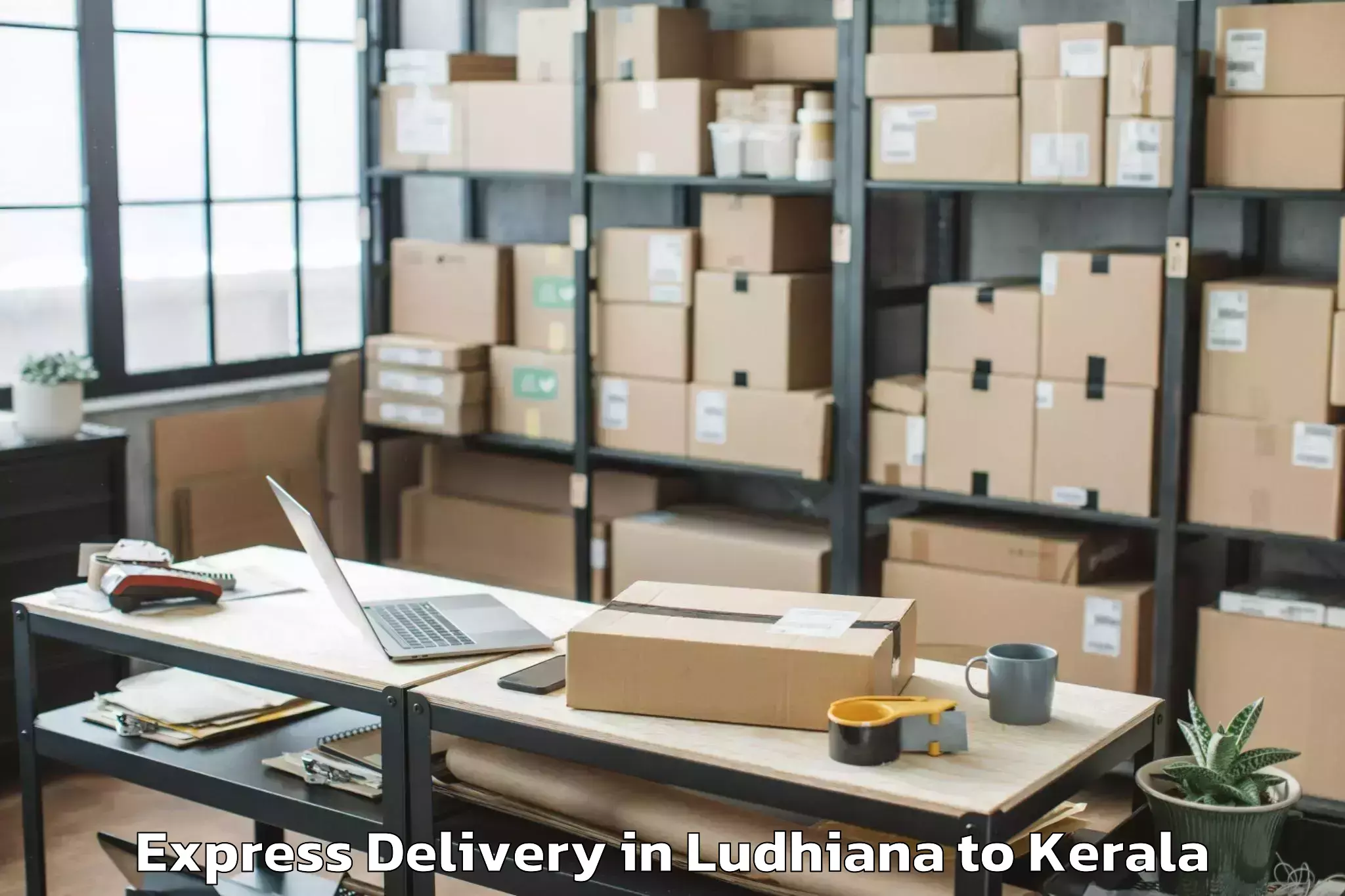 Top Ludhiana to Kozhippara Express Delivery Available